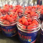 Бойлы сбалансированные Red Carps Dumbells (МЁД) 21х12 мм