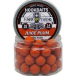 Punarr Fishing Бойлы вареные в дипе 14мм 50шт - Сочная слива